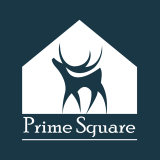 Prime Square 2